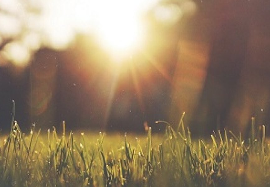 In-Ground Irrigation Protects Your Lawn Late Summer Stress | Nutri-Lawn Sprinkler System Burlington