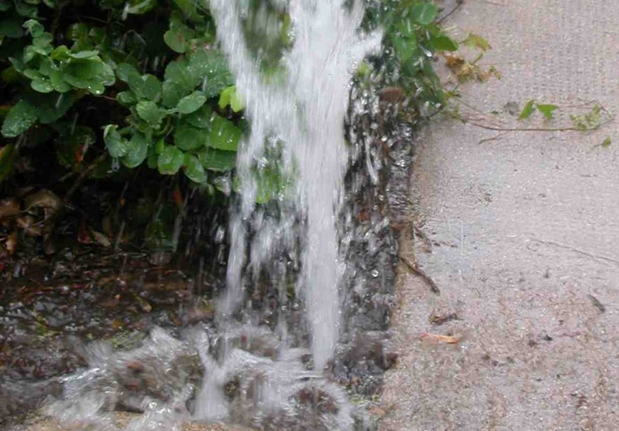 Irrigation System Isn't Wasting Water